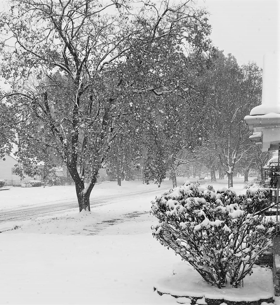 snow1