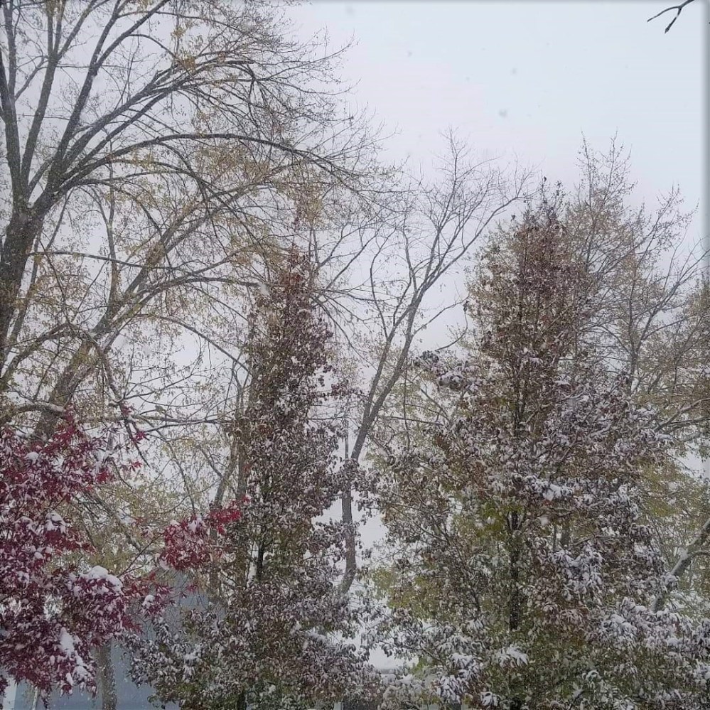 snow2