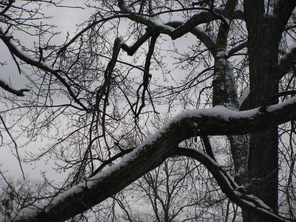 fall2011tospring2012 053